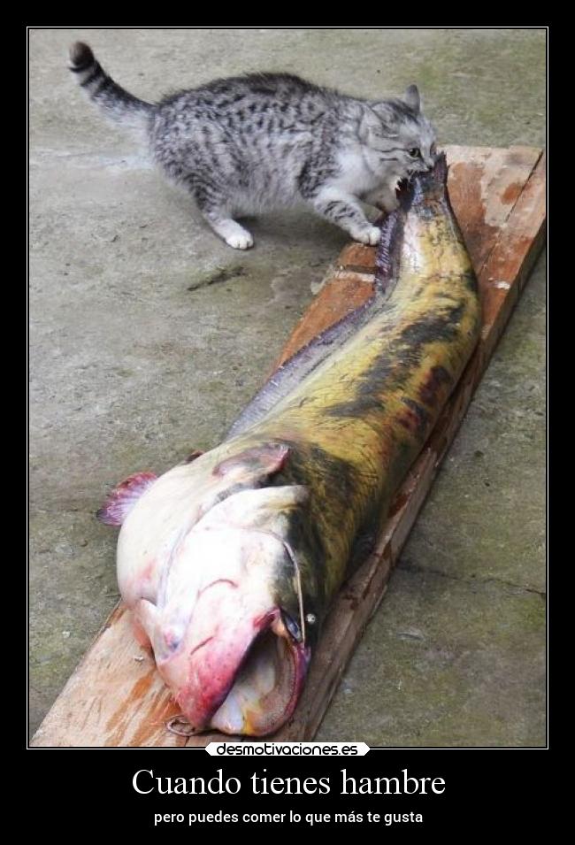 Cuando tienes hambre - 