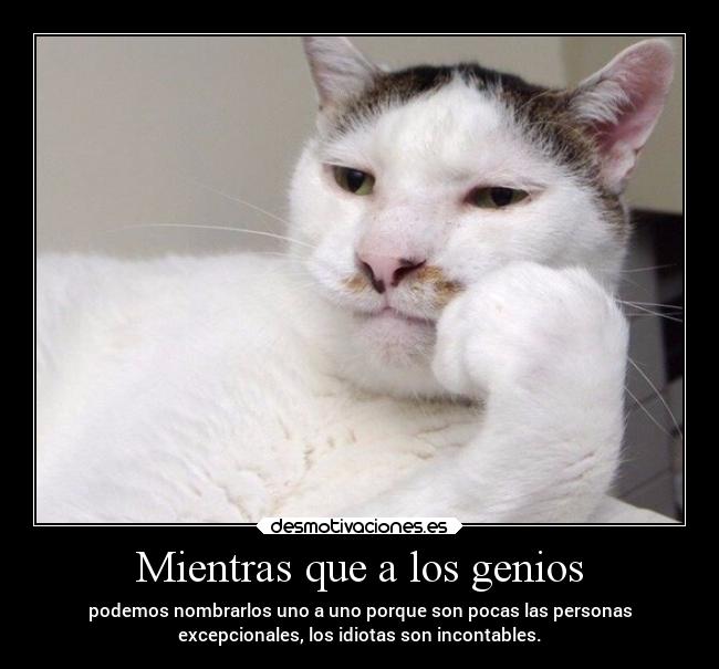 Mientras que a los genios - podemos nombrarlos uno a uno porque son pocas las personas
excepcionales, los idiotas son incontables.