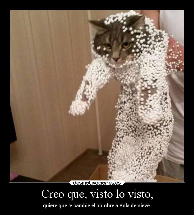Creo que, visto lo visto, - quiere que le cambie el nombre a Bola de nieve.