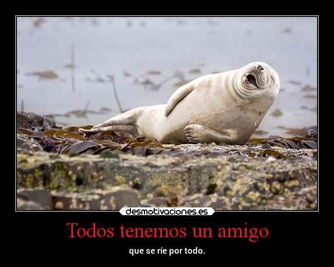 Todos tenemos un amigo - que se ríe por todo.