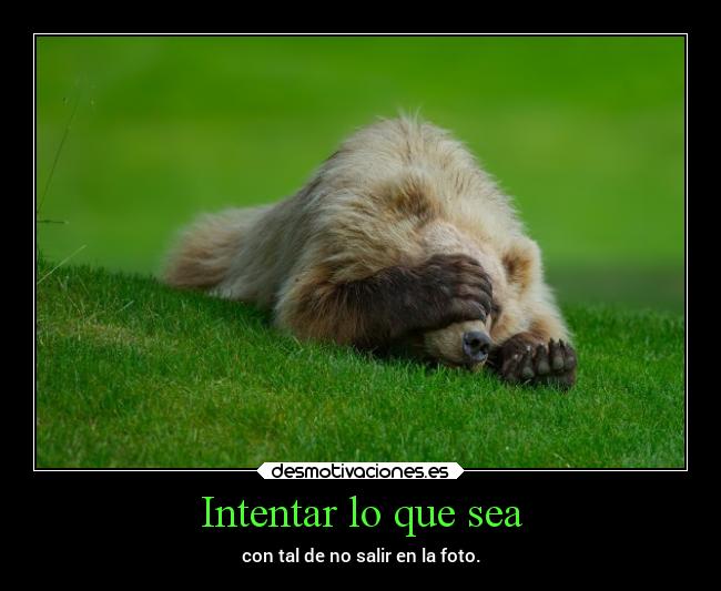 Intentar lo que sea - con tal de no salir en la foto.