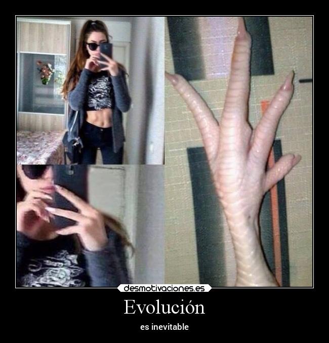 Evolución - 