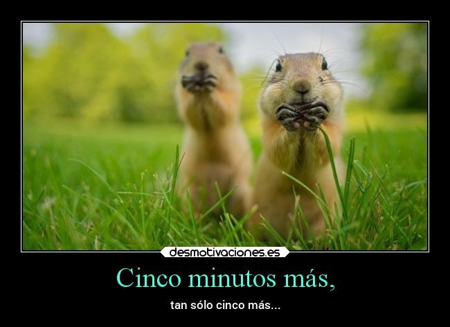 carteles humor solo cinco minutos dejaselos desmotivaciones