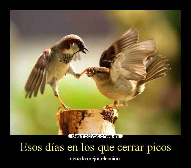 Esos días en los que cerrar picos - sería la mejor elección.