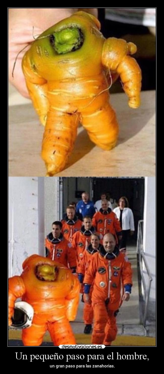 carteles humor zanahoria astronauta ungranpasoparalazanahoridad elpatodelapiovendehierba desmotivaciones