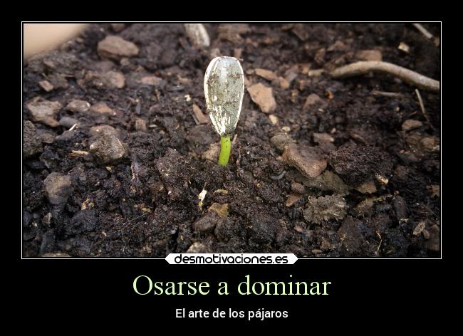 carteles ideas vuelo desmotivaciones