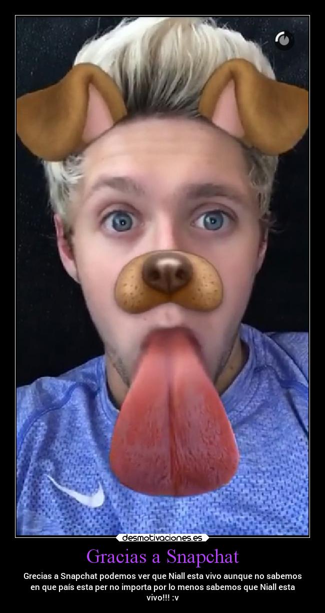 carteles locura desmotivaciones