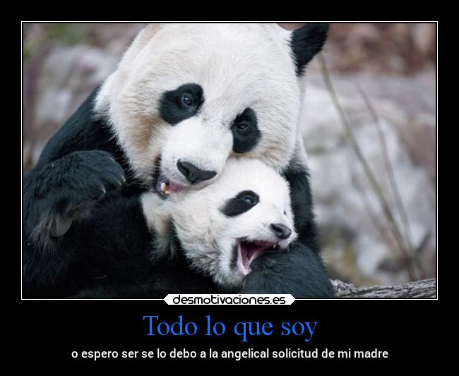 carteles madre amor futuro desmotivaciones