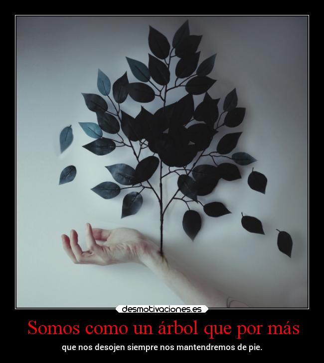Somos como un árbol que por más - 