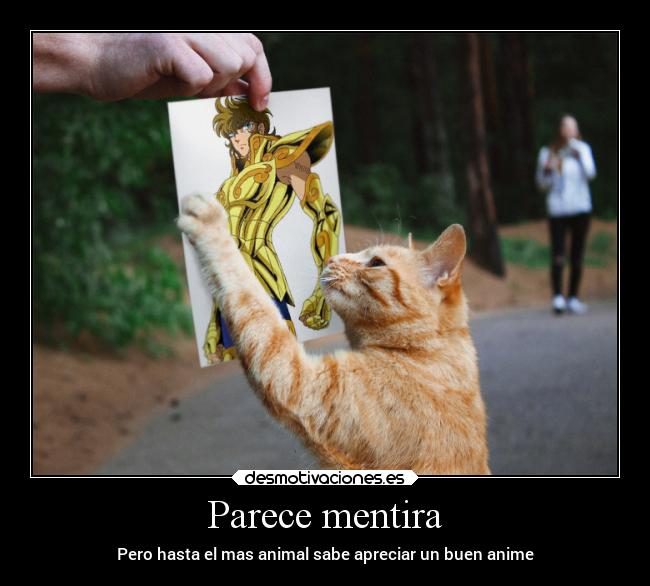 Parece mentira - Pero hasta el mas animal sabe apreciar un buen anime