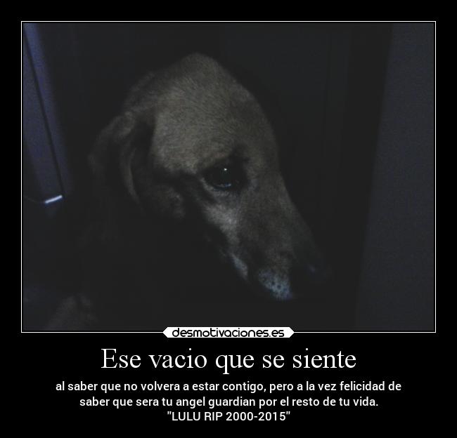 Ese vacio que se siente - al saber que no volvera a estar contigo, pero a la vez felicidad de
saber que sera tu angel guardian por el resto de tu vida.
LULU RIP 2000-2015