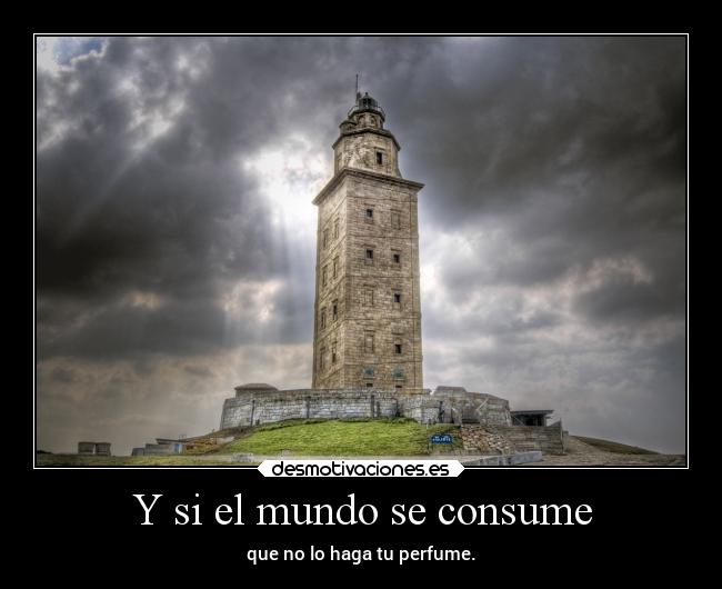 carteles mundo alegria lugares meh miau jejeje desmotivaciones