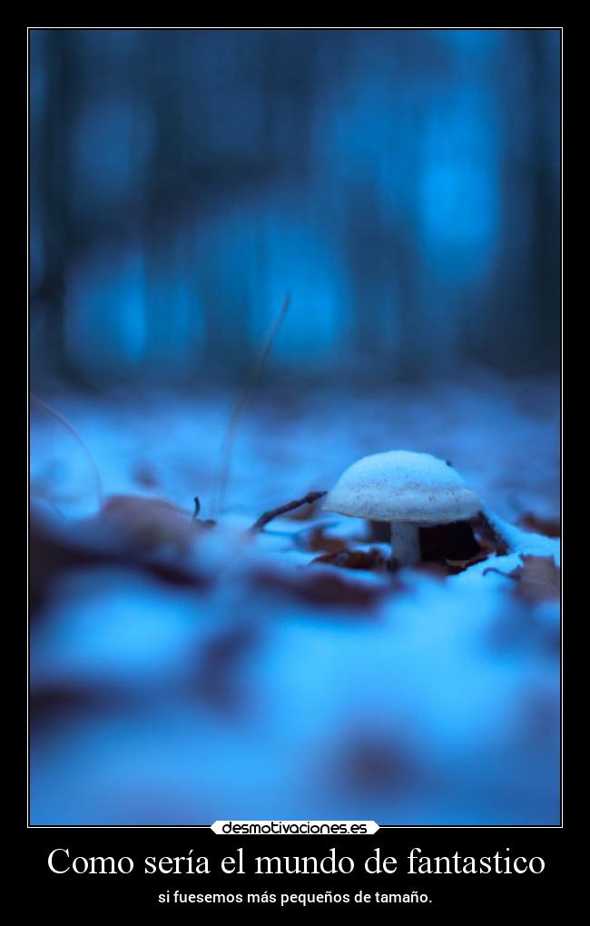 Como sería el mundo de fantastico -