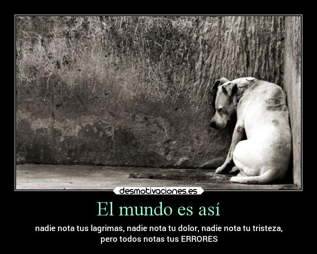 El mundo es así -