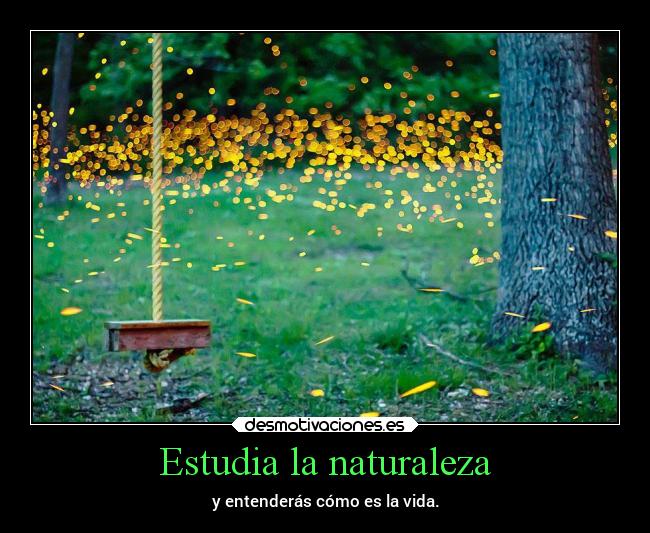 Estudia la naturaleza -