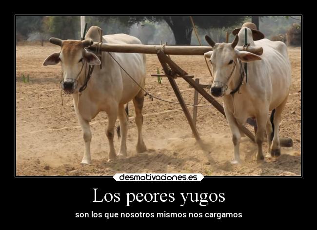 carteles obstaculos yugo dificultades nosotros bueyes peso desmotivaciones