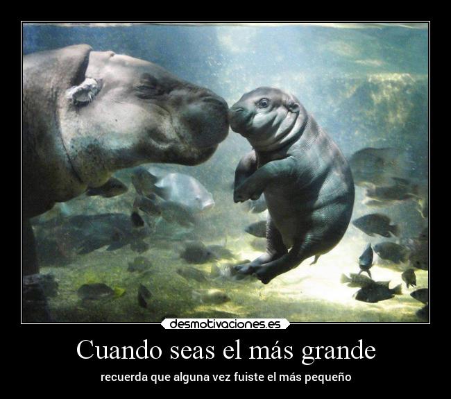 Cuando seas el más grande - 