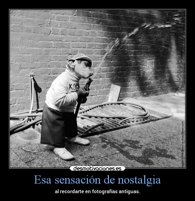 Esa sensación de nostalgia - al recordarte en fotografías antiguas.