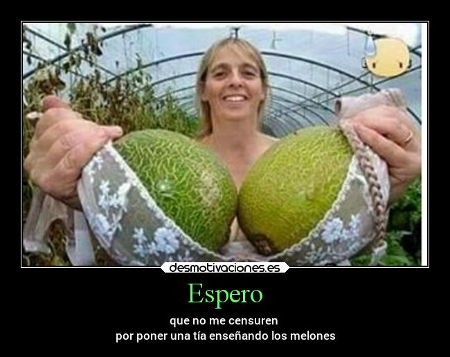 Espero - que no me censuren
por poner una tía enseñando los melones