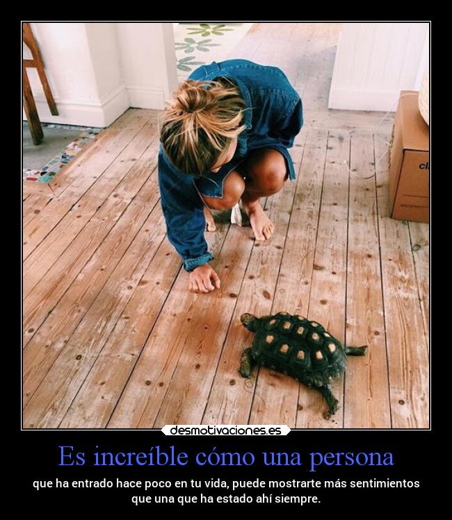 Es increíble cómo una persona - 