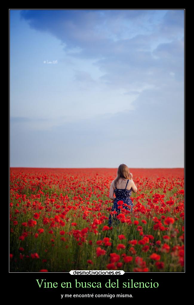 Vine en busca del silencio -