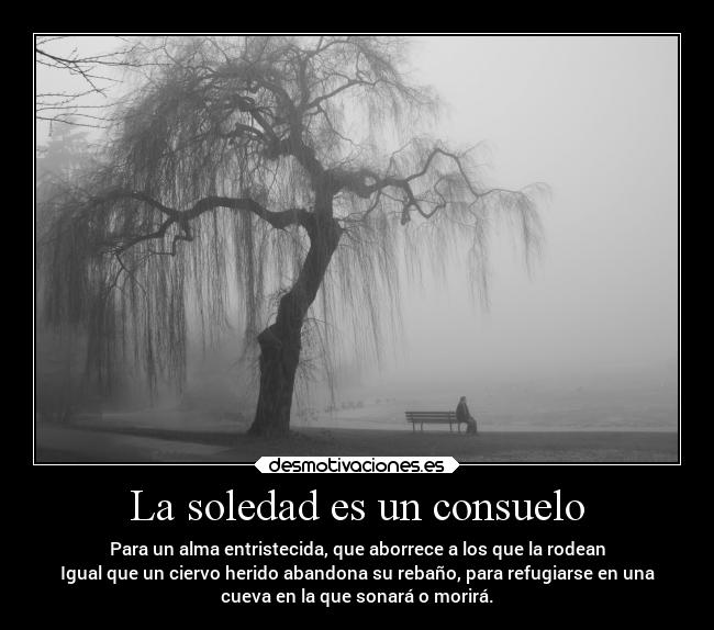 La soledad es un consuelo Desmotivaciones
