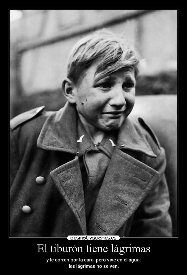 El tiburón tiene lágrimas -