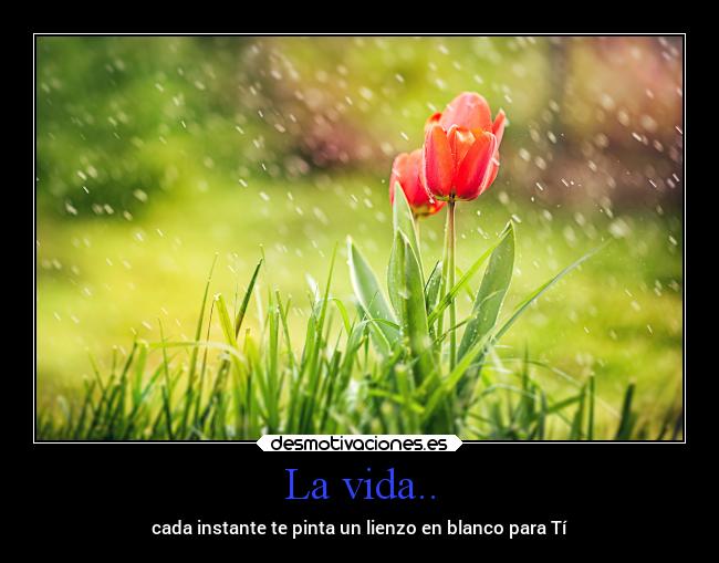 carteles vida alegria desmotivaciones