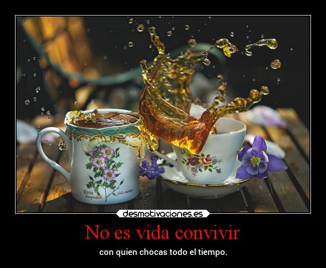 No es vida convivir -