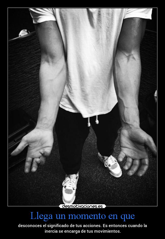 carteles vida dolor inercia mels desmotivaciones