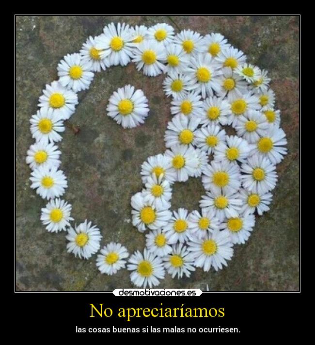 No apreciaríamos - las cosas buenas si las malas no ocurriesen.