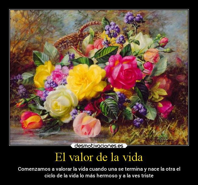 El valor de la vida - Comenzamos a valorar la vida cuando una se termina y nace la otra el
ciclo de la vida lo más hermoso y a la ves triste