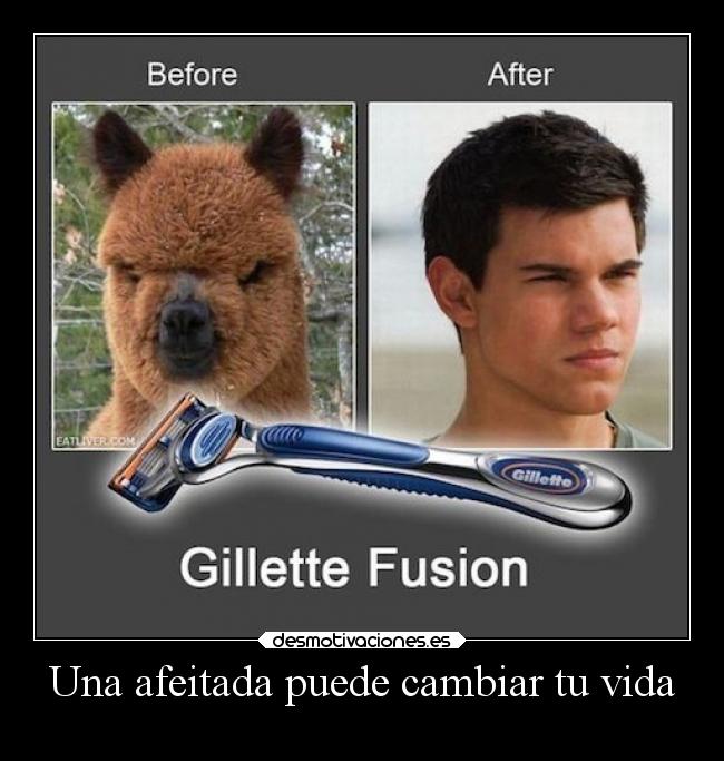 carteles vida humor cosas noseniqueputassubir desmotivaciones