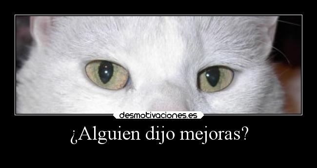 ¿Alguien dijo mejoras? -