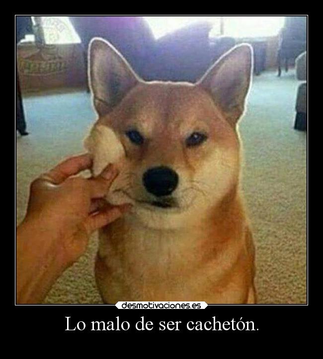 Lo malo de ser cachetón. -