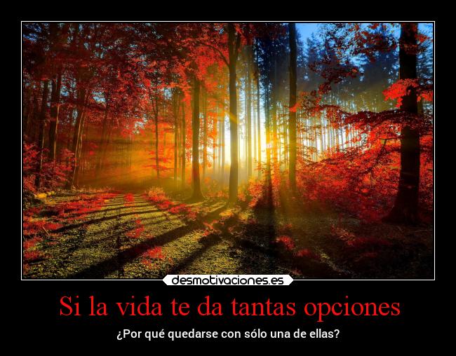 Si la vida te da tantas opciones -