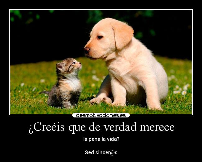 ¿Creéis que de verdad merece -