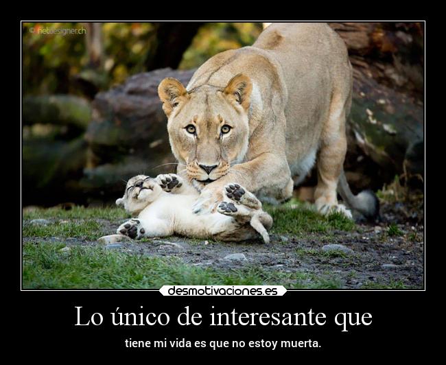 Lo único de interesante que -