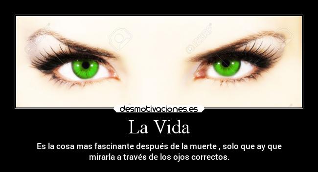 carteles vida vida desmotivaciones