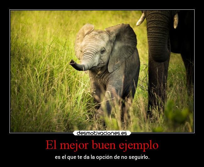 carteles vida libertad lovemylife teamosou desmotivaciones