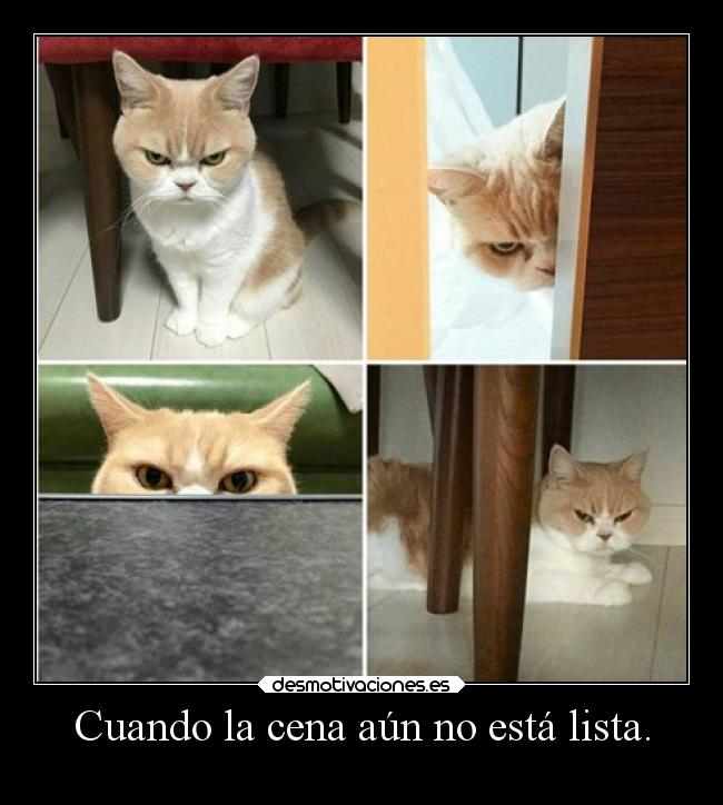 carteles vida lllll deadvil desmotivaciones