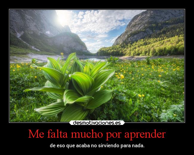 Me falta mucho por aprender -