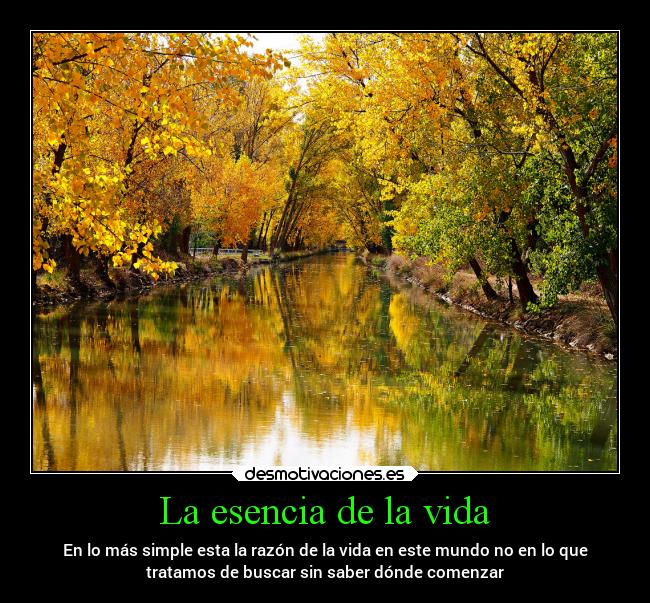 La esencia de la vida - En lo más simple esta la razón de la vida en este mundo no en lo que
tratamos de buscar sin saber dónde comenzar