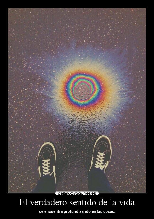 El verdadero sentido de la vida - se encuentra profundizando en las cosas.