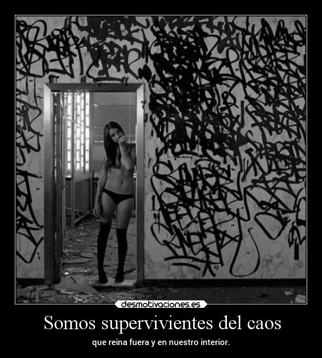 Somos supervivientes del caos -