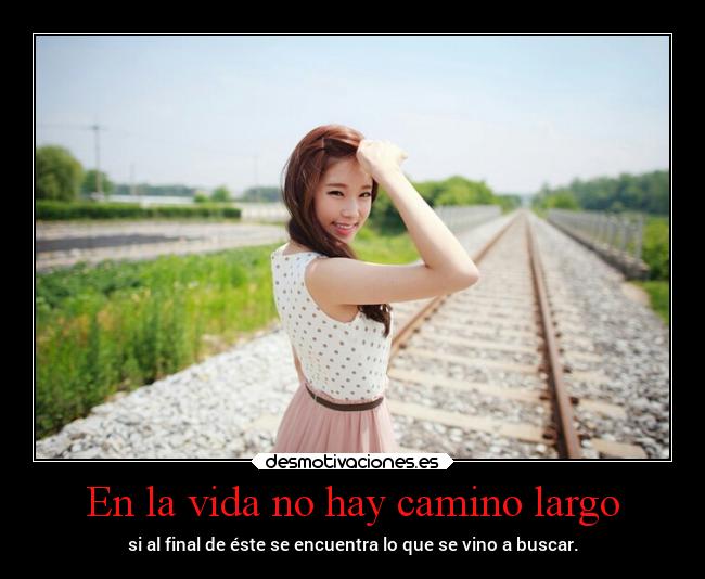 carteles vida vida projectd desmotivaciones