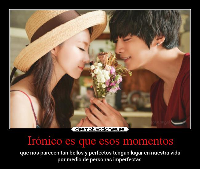 carteles vida sentimientos projectd desmotivaciones