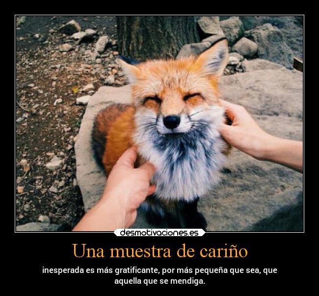 Una muestra de cariño - inesperada es más gratificante, por más pequeña que sea, que
aquella que se mendiga.