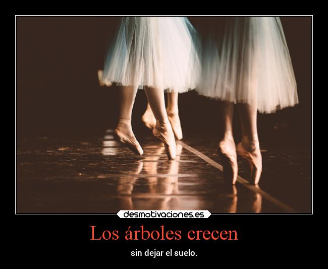 Los árboles crecen - sin dejar el suelo.