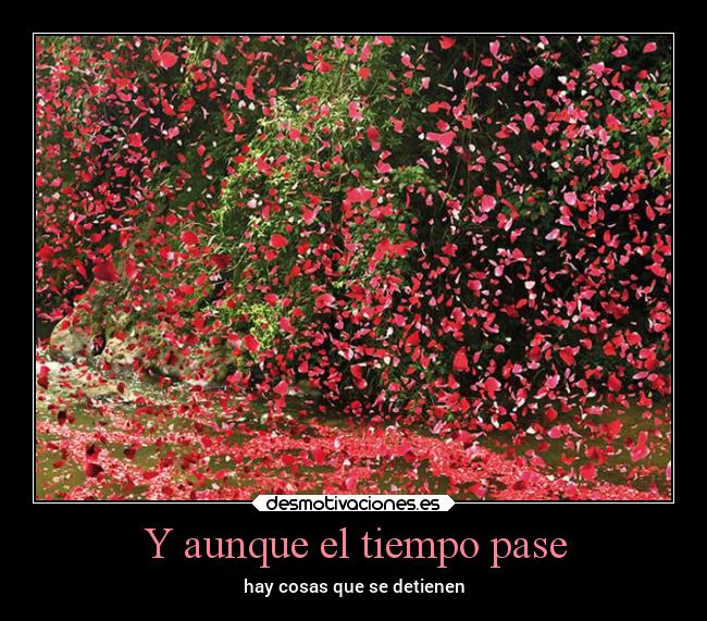 Y aunque el tiempo pase - hay cosas que se detienen
